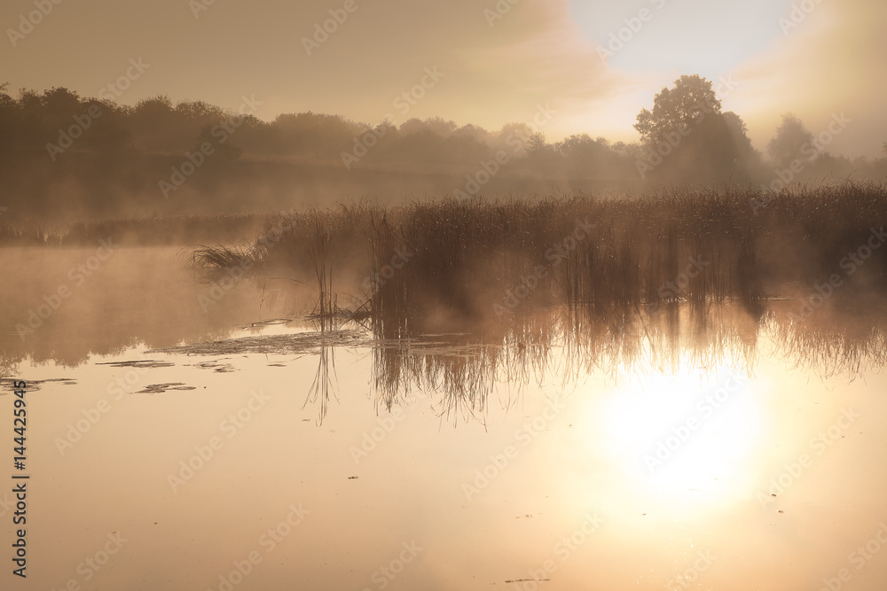 Fototapeta premium A misty morning by the lake. Space for text.