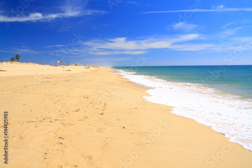 Beautiful sandy beach with sunbathing tourists in Algarve, Portugal