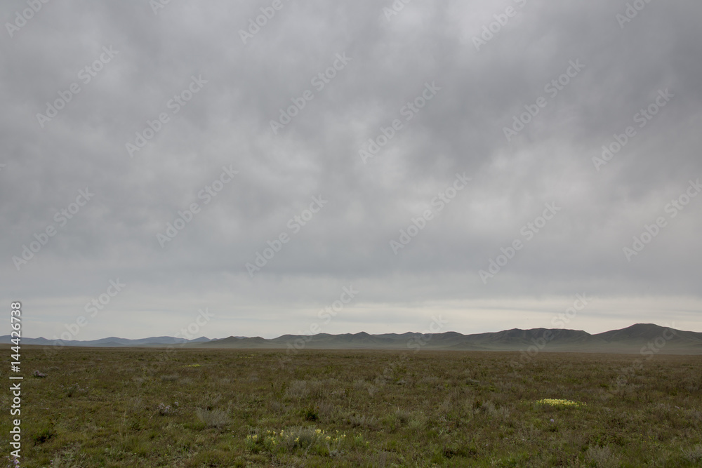 Die mongolische Steppe
