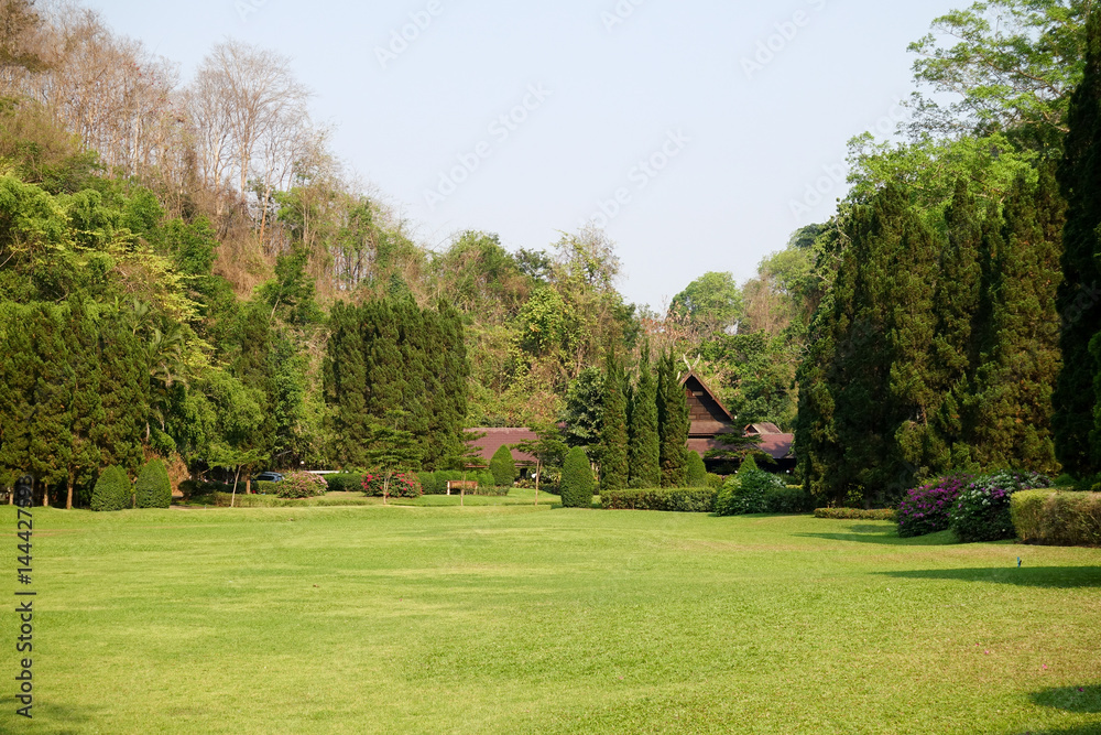 Fototapeta premium Open Lawn With Cabins