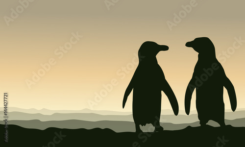 Silhouette penguin at sunset scenery
