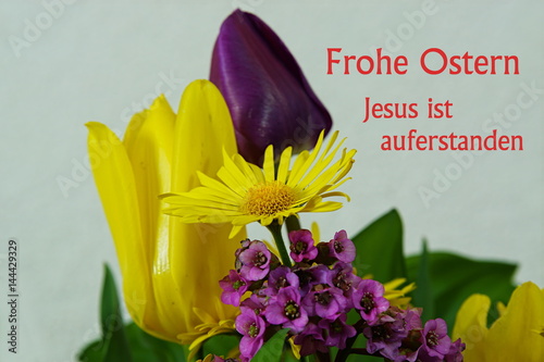 Frühlingsblüten - Frohe Ostern - Jesus ist auferstanden