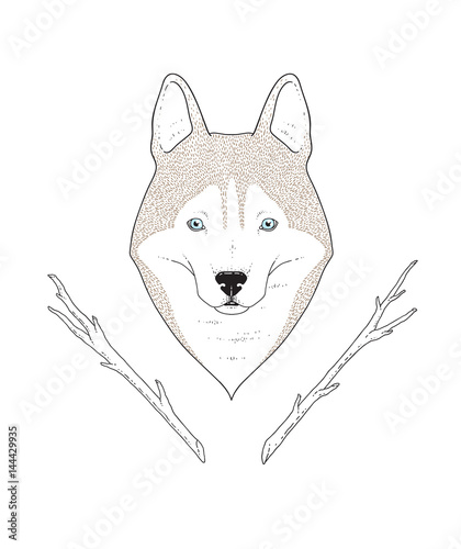 Vector illustration. Siberian husky dog
