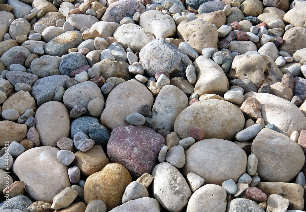 Pebbles of different size and shape, summer garden Pebbles of different size and shape, summer garden