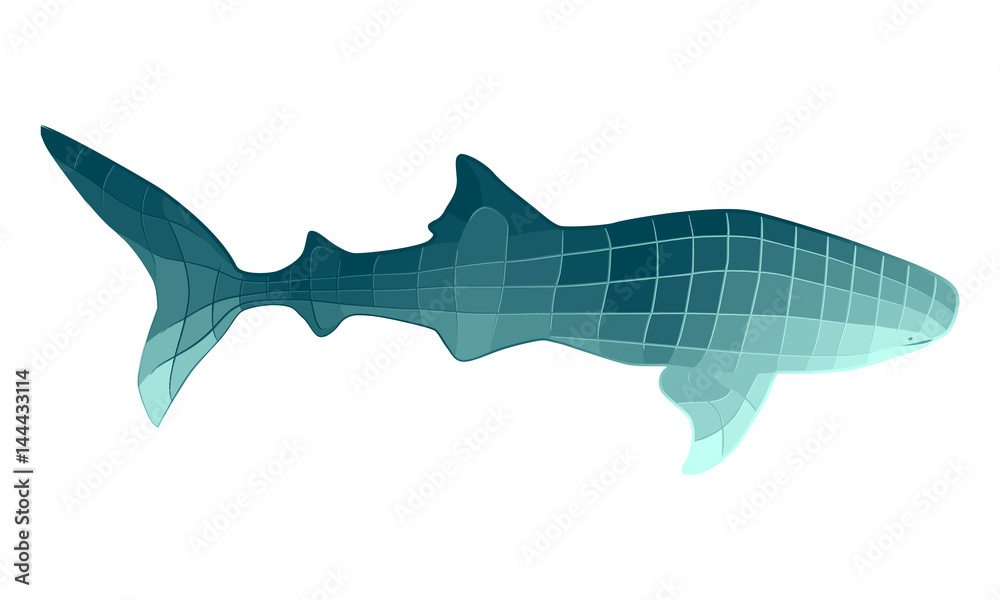 Stylized whale shark illustration with geometric shapes colored in shades  of turquoise. Gradient polygon style sea animal vector. Stock Vector |  Adobe Stock