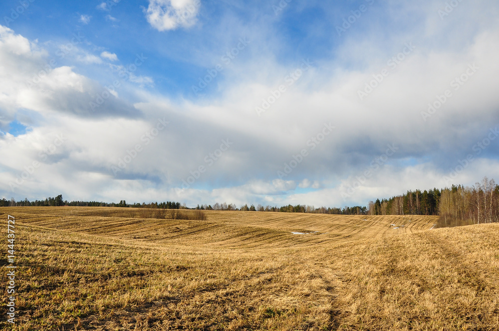 Early spring scene on the Russian fields under the blue cloudy sky.