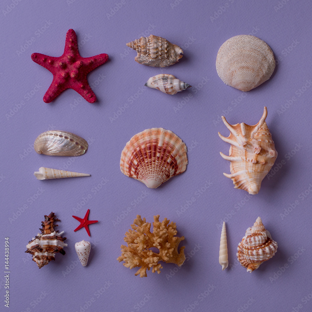 Marine souvenirs. Square format Marine souvenirs. Square format