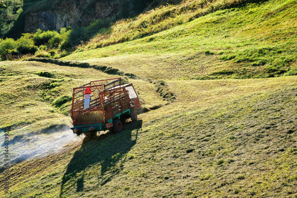 Fototapeta premium Agricultural vehicle with hay in meadow