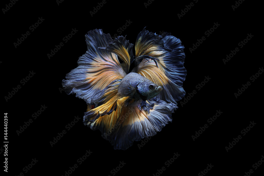 Foto Concept design