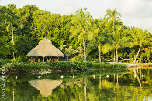ISLAND photo