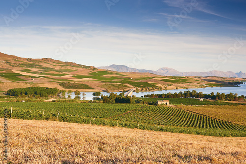 Agriculture field - Sicily, Italy