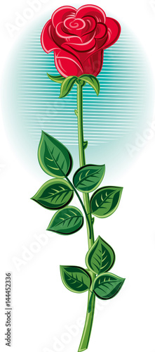 A rose with its stem and leaves.