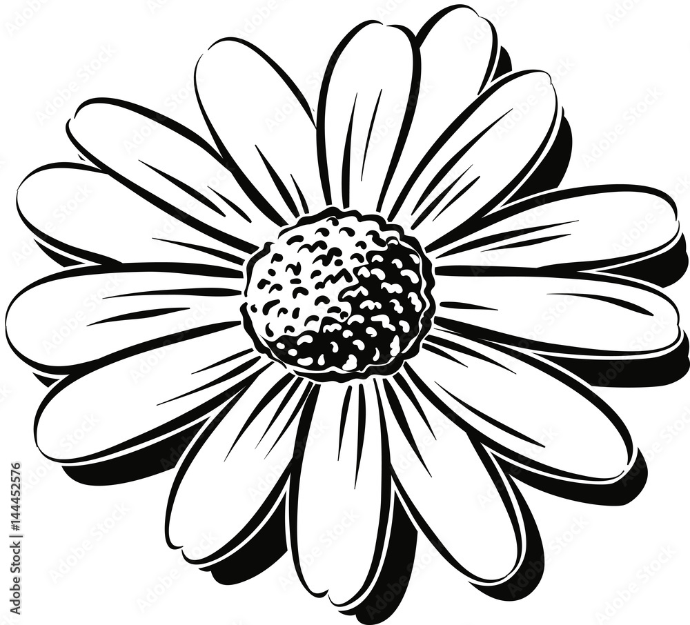 Daisy.
