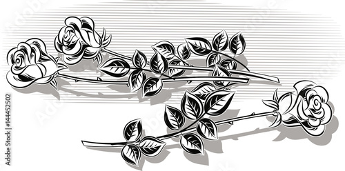 Three roses with their stem and leaves, resting on a floor.