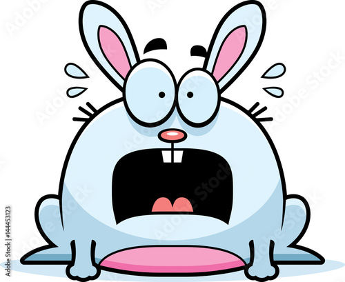 Terrified Little Rabbit