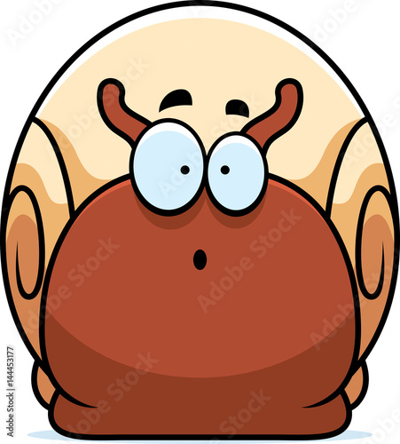 Surprised Little Snail