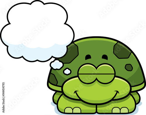 Dreaming Little Turtle