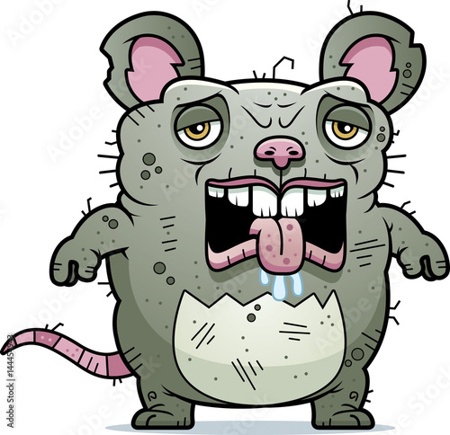 Tired Ugly Rat