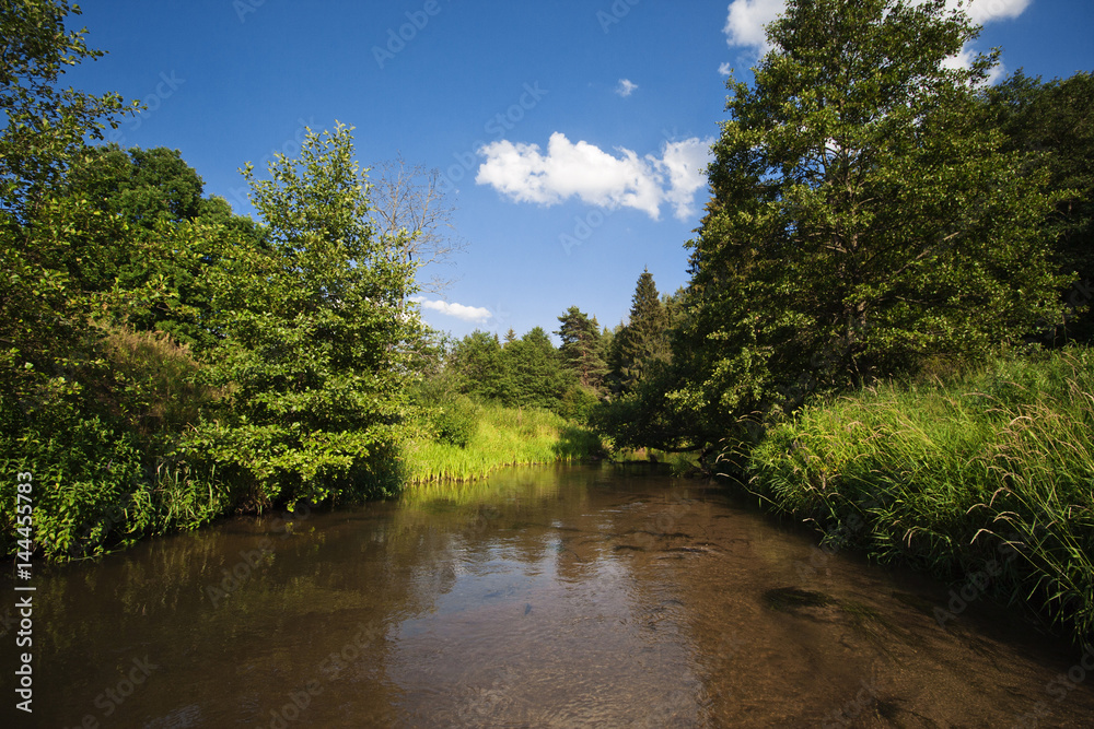 
A fast forest river. sunny weather. Blue sky with clouds. Bright colors of summer
