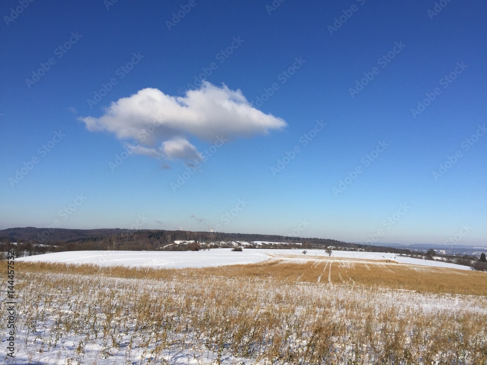 Winter landscape 1