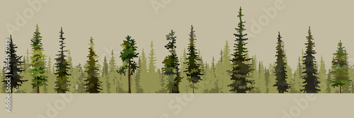 cartoon background of green pine forests with spruces