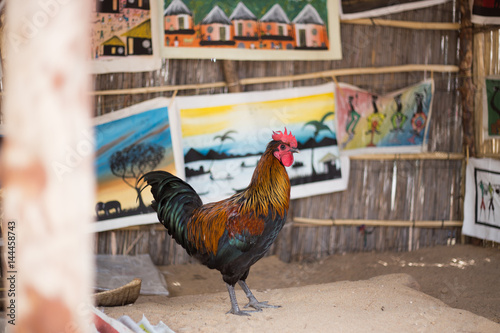 A Rooster in front of a village art stand in Africa