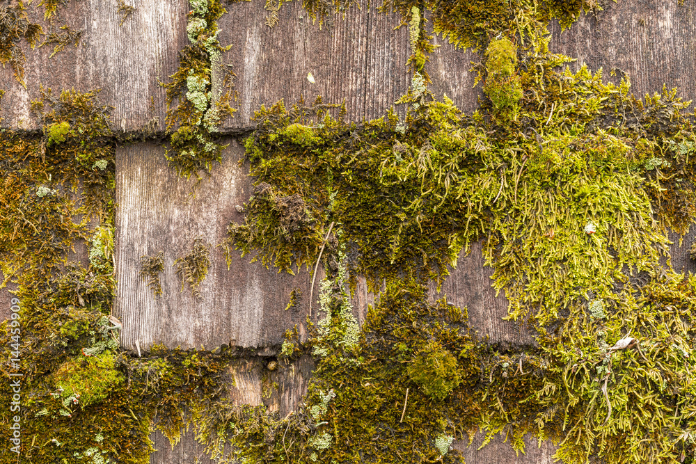 Mossy Wood Roof Shingles