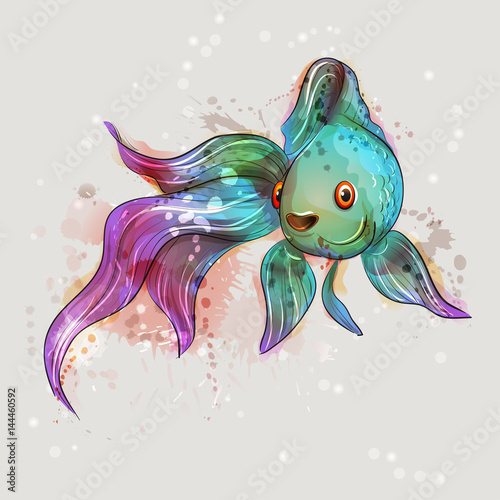 Beautiful aquarium fish