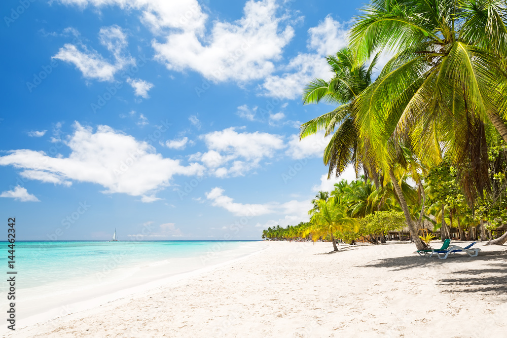 Obraz premium Beautiful tropical white beach and coconut palm trees