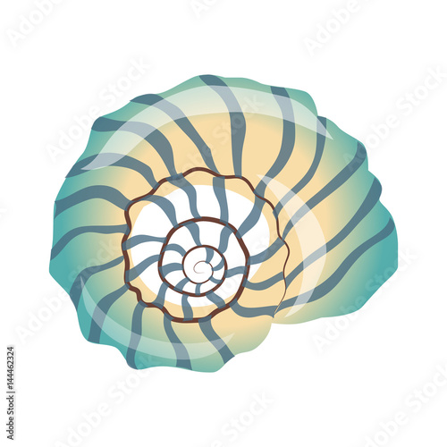 Beautiful blue seashell, an empty shell of a sea mollusk. Colorful cartoon illustration