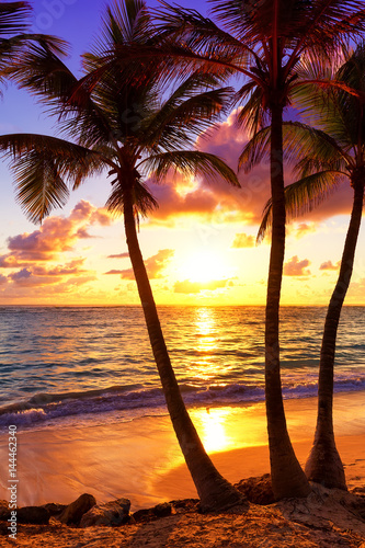 Fototapeta Naklejka Na Ścianę i Meble -  Coconut palm trees against colorful sunset in Saona island. Caribbean sea, Dominican Republic