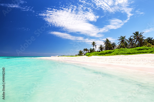 Beautiful tropical white beach and coconut palm trees © preto_perola