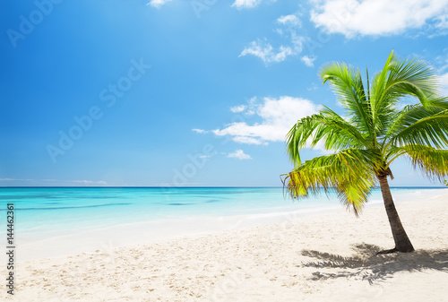 Beautiful tropical white beach and coconut palm trees