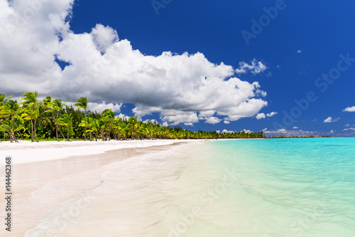 Fototapeta Naklejka Na Ścianę i Meble -  Coconut Palm trees on white sandy beach in Caribbean sea, Saona island. Dominican Republic