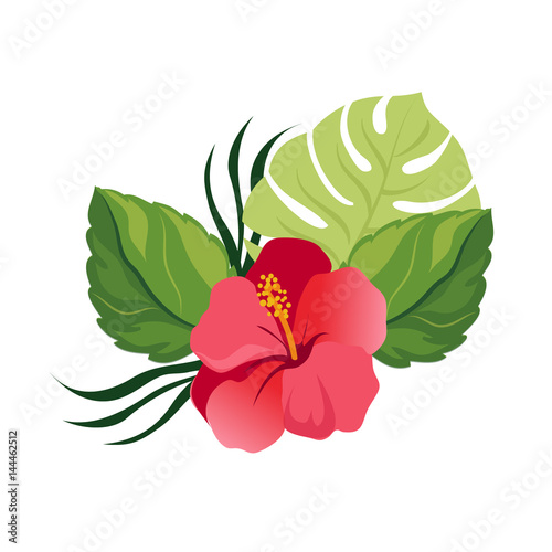 Bouquet with tropical flowers. Elegant floral vector composition. Colorful cartoon illustration