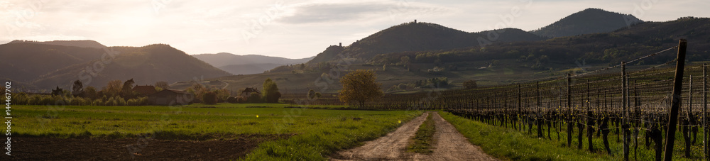 Les trois chteaux de Ribeauvillé