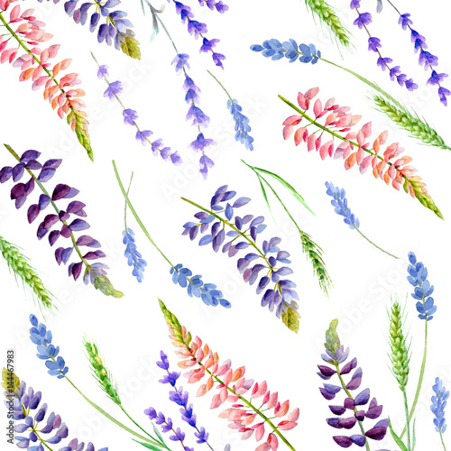 Watercolor pattern with lavender and rye,lupine.