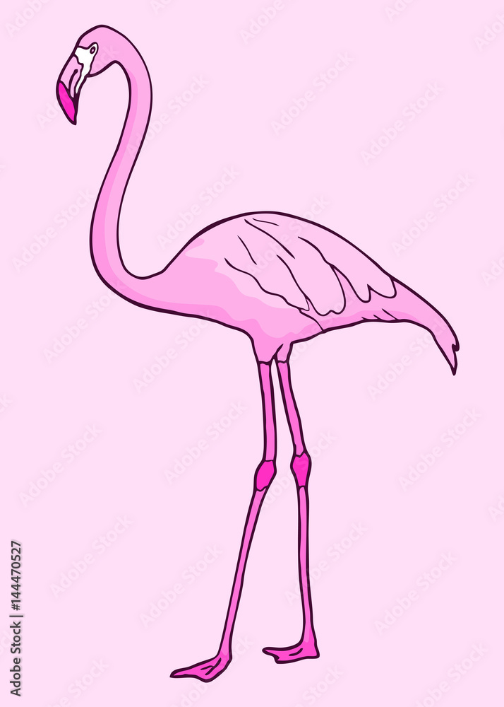 Fototapeta premium Flamingo illustration