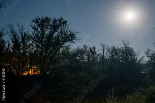 A fire burns inside the forest in a full moon night in the middle of the summer in Crimea, Ukraine, 2013