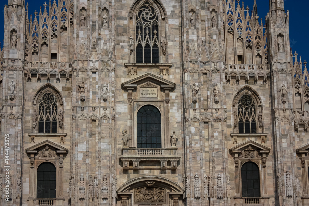 Detail from the Milan Cathedral