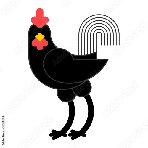 Black Rooster isolated. Cock on white background. unique Rare Farm Bird