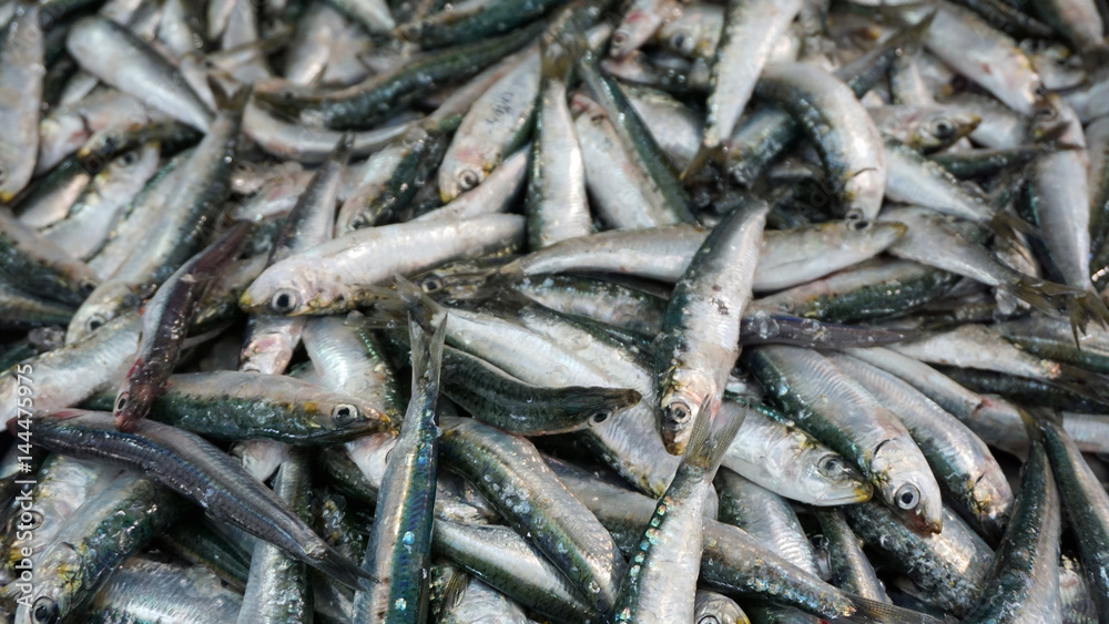 fish market fish market