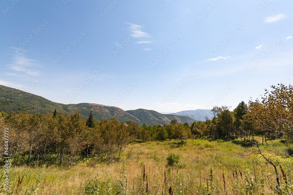 Meadow in Mountains