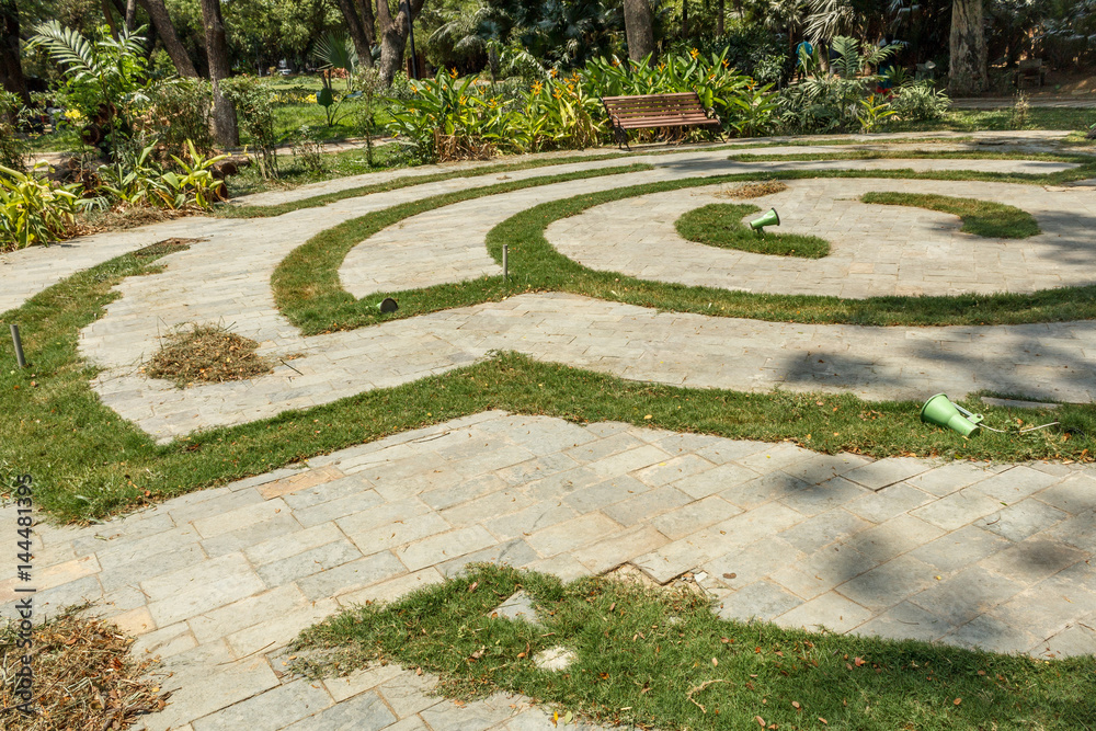 Narrow view of maze formation in green garden, Chennai, India, April 01 2017 Narrow view of maze formation in green garden, Chennai, India, April 01 2017