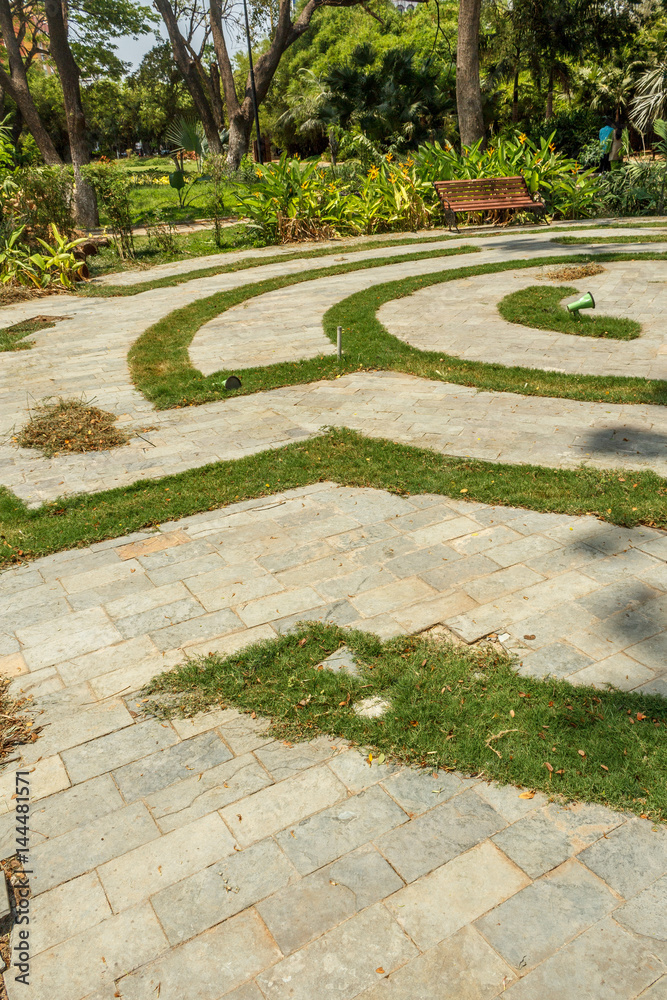 Narrow view of maze formation in green garden, Chennai, India, April 01 2017 Narrow view of maze formation in green garden, Chennai, India, April 01 2017