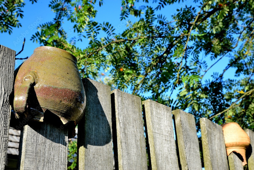 old pot on the fence with a roan-tree in the background