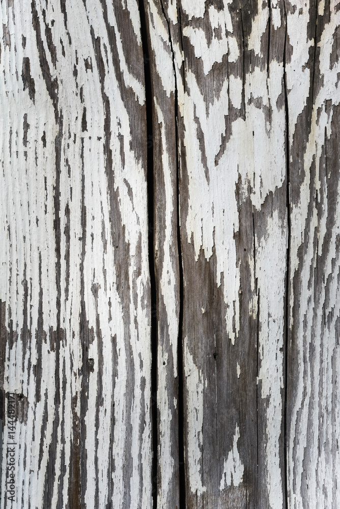 Fragment of old wooden boards with peeling white paint, background Fragment of old wooden boards with peeling white paint, background