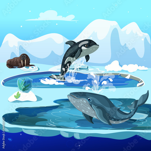 Cartoon Arctic Fauna Template