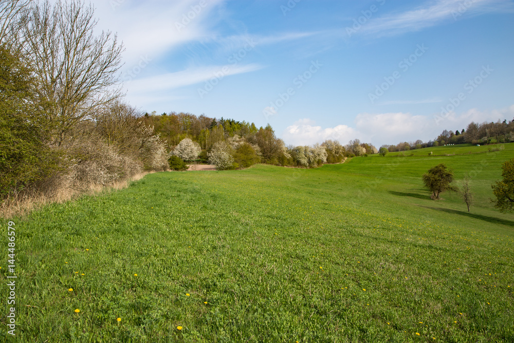 Waldecker Schloßberg StockFoto Adobe Stock