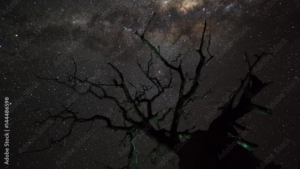 A twisty linear dolly shot of an abstract dead Leadwood tree, (combretum imberbe) back-lit and silhouette with the Milky Way passing through